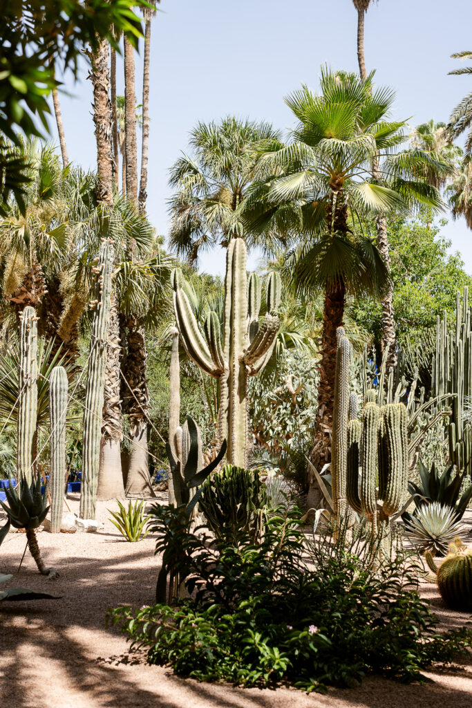 majorelle garden marrakech